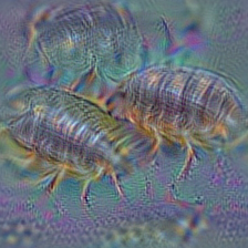 n01986214 hermit crab